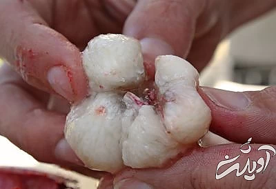 گوشت سفید میوه را با استفاده از چنگال به طور کامل از پوست جدا کنید